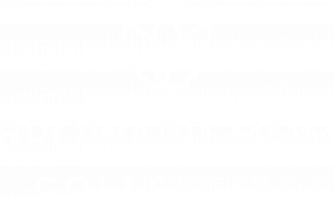 Broward County Mom Collective