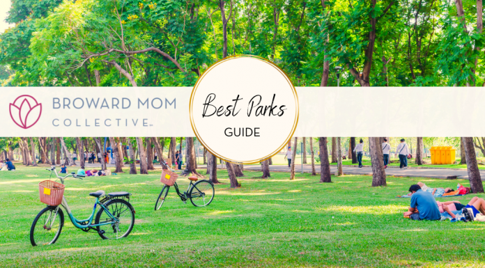 Broward Mom Collective Indoor Parks Guide South Florida
